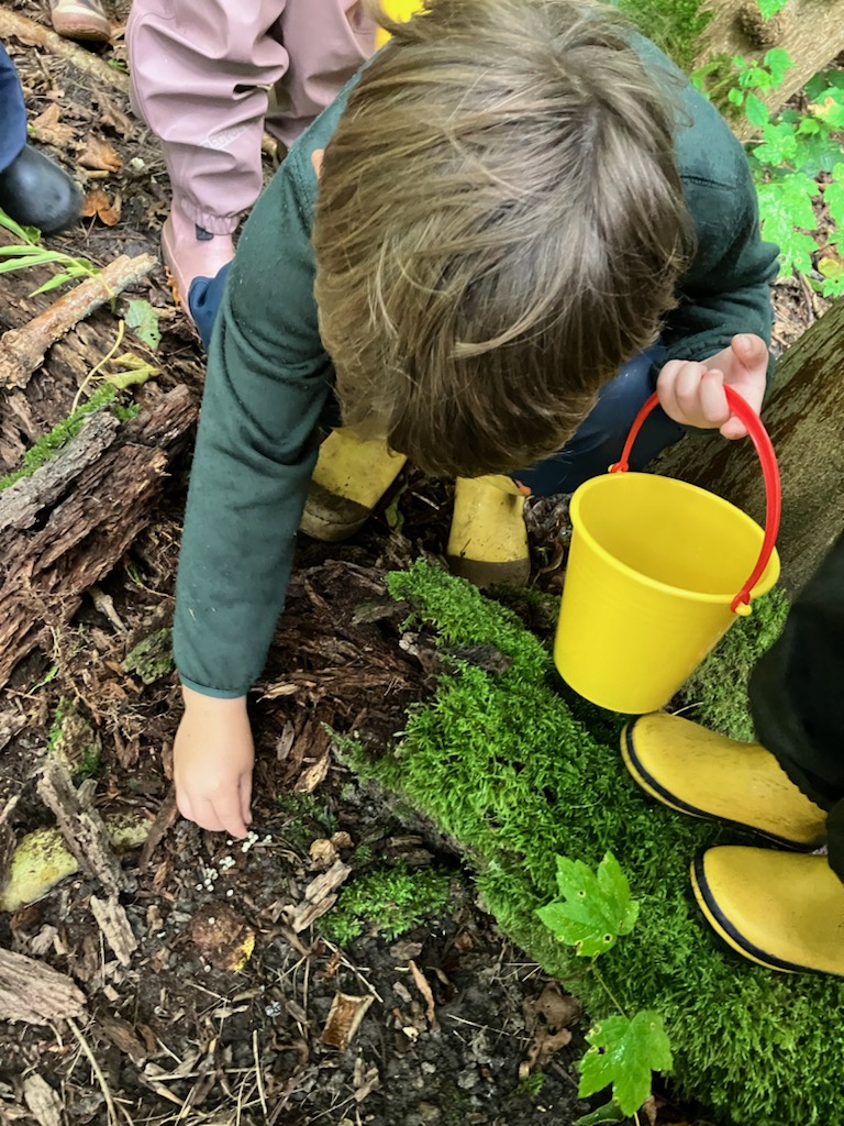 Barn der finder snegleæg i skovbunden